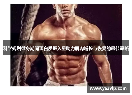 科学规划健身期间蛋白质摄入量助力肌肉增长与恢复的最佳策略